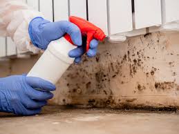 Best Water Damage & Mold Remediation in Mackinaw, IL